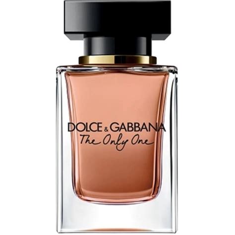 terrymugler gucci dolce e gabbana dior|the one by dolce gabbana.